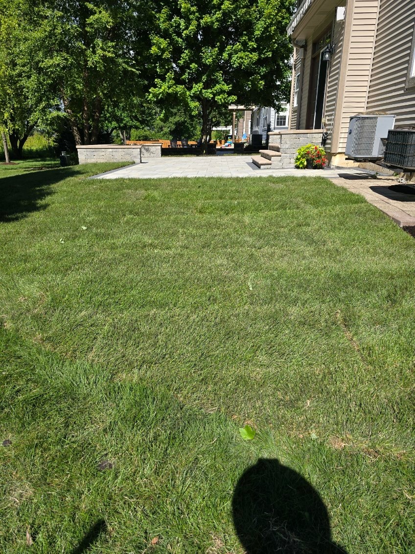After backyard patio and sod