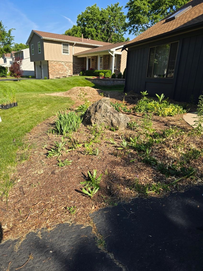 Before landscaping