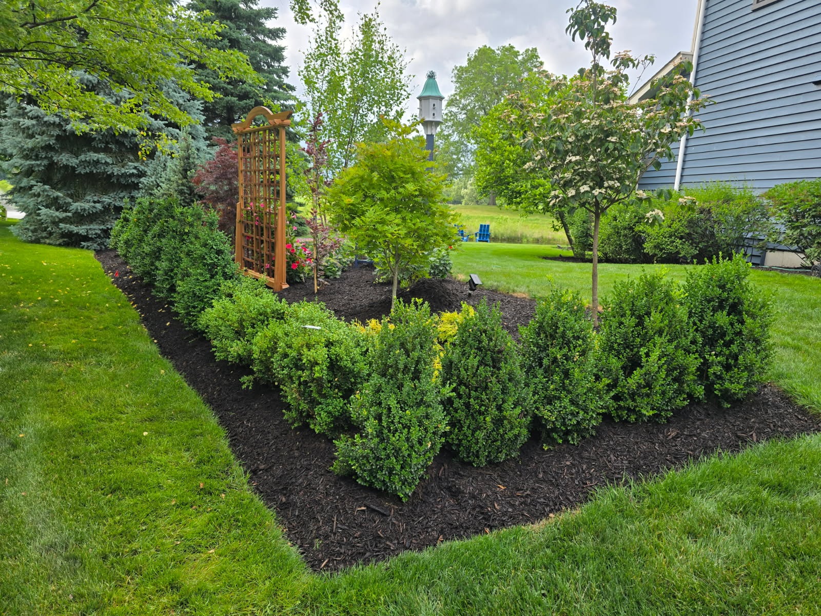 Boxwood hedge landscaping West Chicago IL